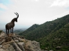 andalusia-1027