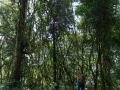 cm2-1015