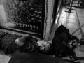 bangkok-1004