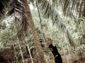 kohchang-1009