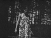 trysmetai-107
