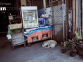 ranong-1022