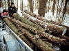 c-124
