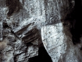 Tonsai-1073