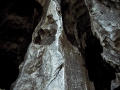Tonsai-1075